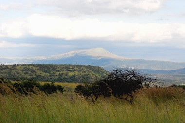 Nambiti Private Game Reserve Landscape KwaZulu-Natal South Africa